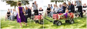 Sarnia Wedding Photographer