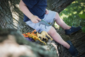 Chatham Family Photographer