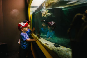 Chatham Lifestyle Family Photography