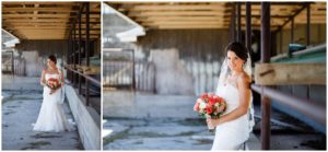 Chatham-Kent Wedding Photographer